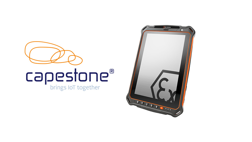 CAPESTONE - IS930.2