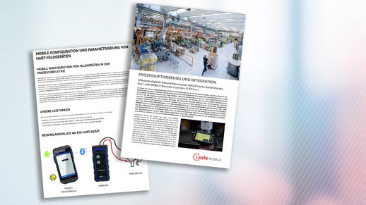 Use Cases - Successstories