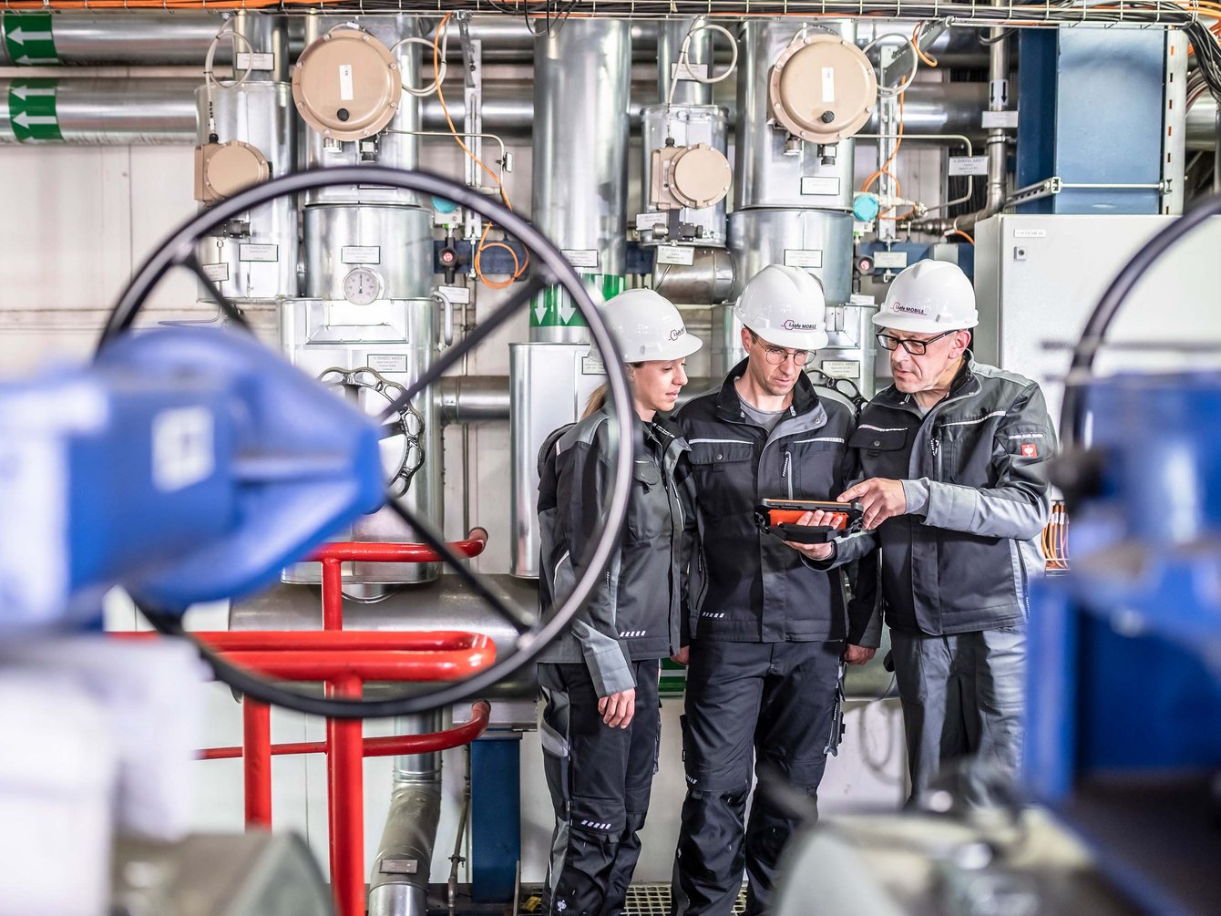 أداة البحث عن المنتجات